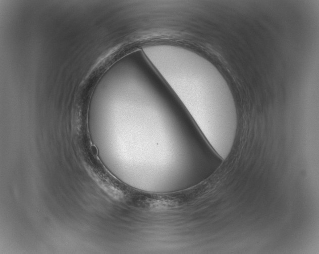 X0000078830400200611130937