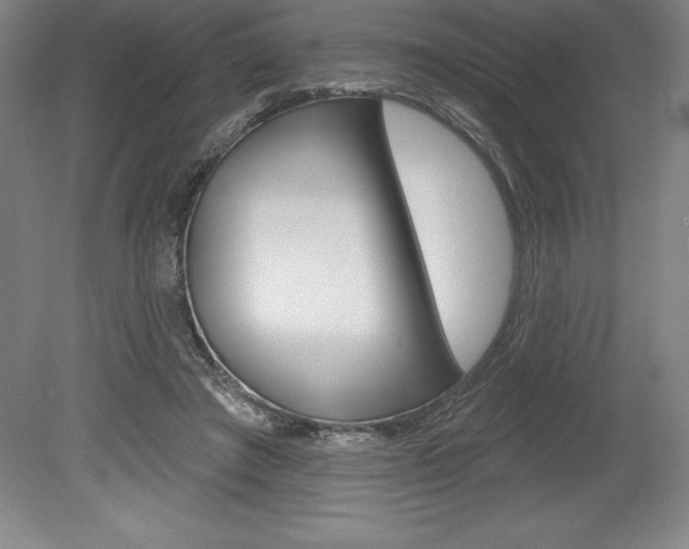 X0000078830401200611130937