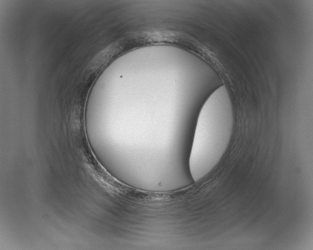 X0000078830402200611130937