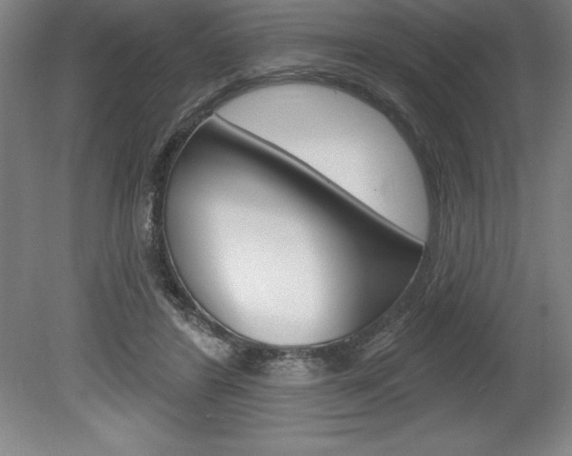 X0000078830404200611130937