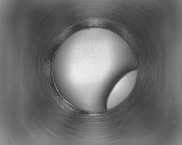 X0000078830413200611130937