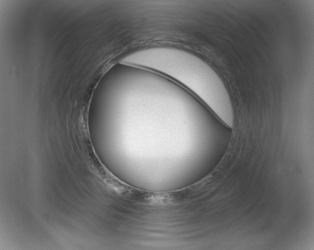 X0000078830415200611130937