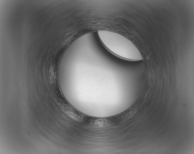 X0000078830420200611130937