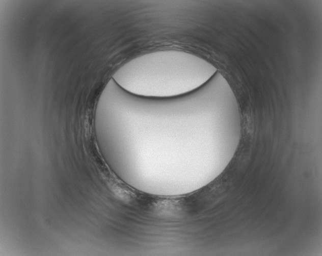 X0000078830422200611130937