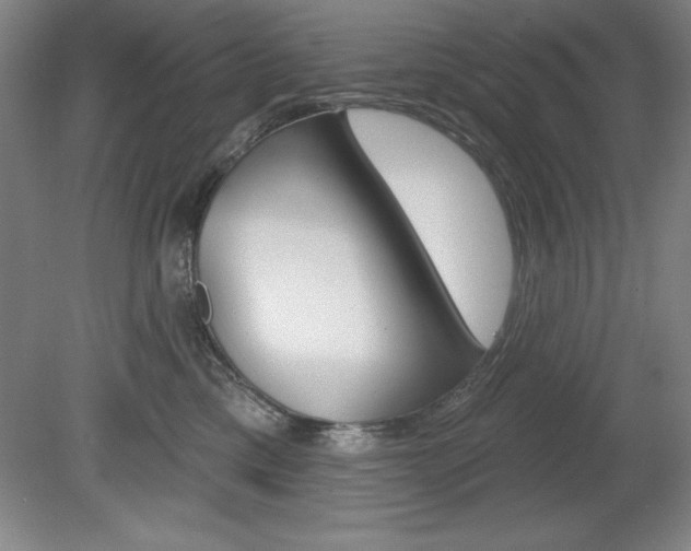 X0000078830425200611130937