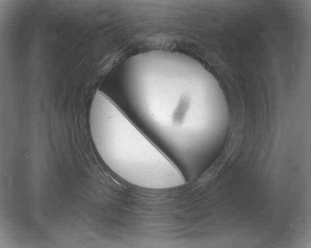 X0000078830432200611130937