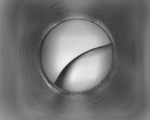 X0000078830433200611130936