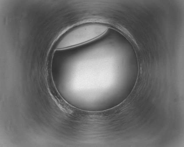 X0000078830436200611130936