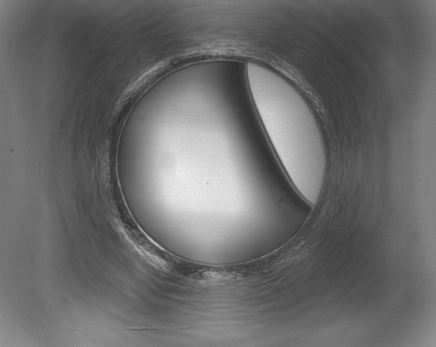 X0000078830442200611130936