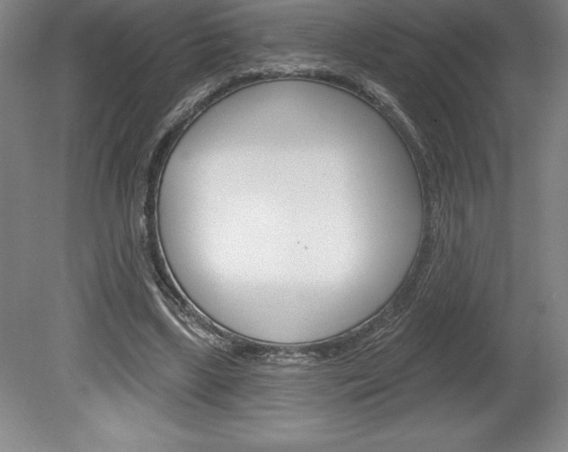 X0000078830443200611130936