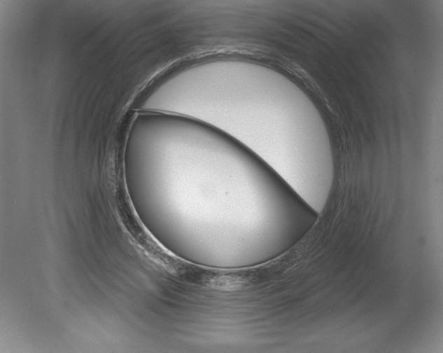 X0000078830444200611130936