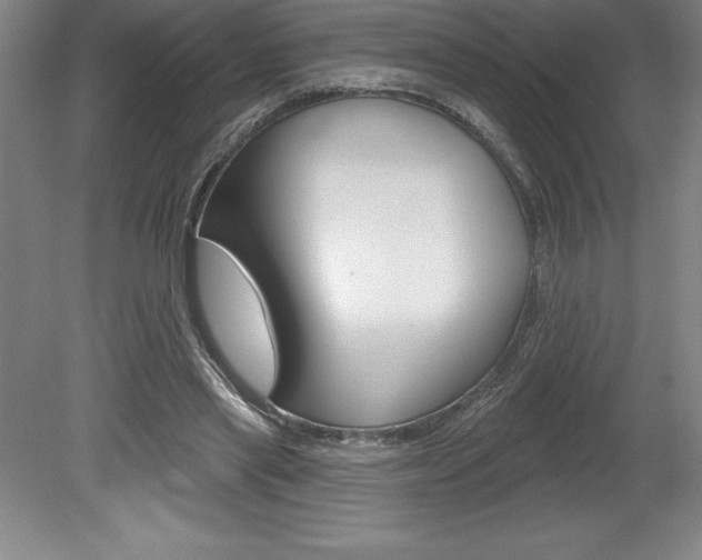 X0000078830445200611130936