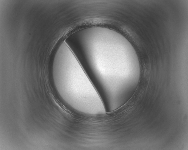X0000078830447200611130936
