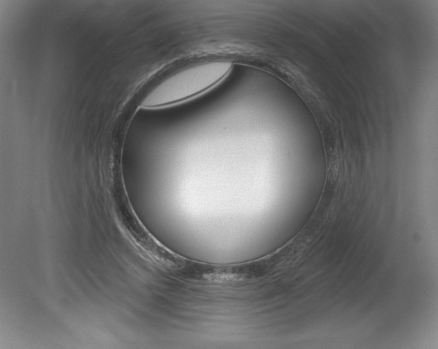 X0000078830448200611130936