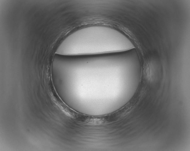 X0000078830449200611130936