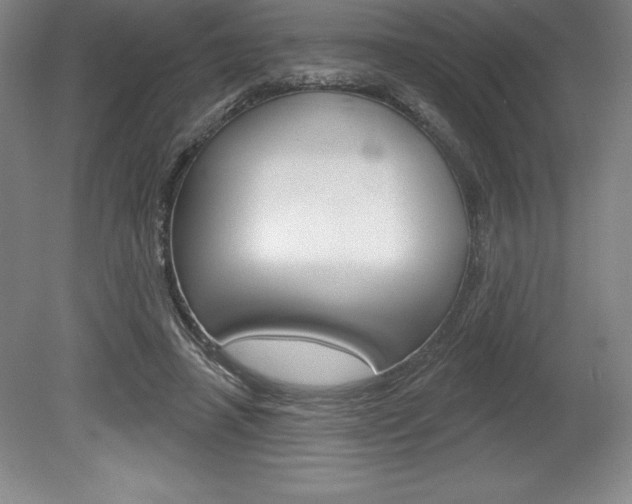 X0000078830450200611130936