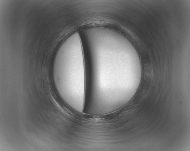 X0000078830451200611130936