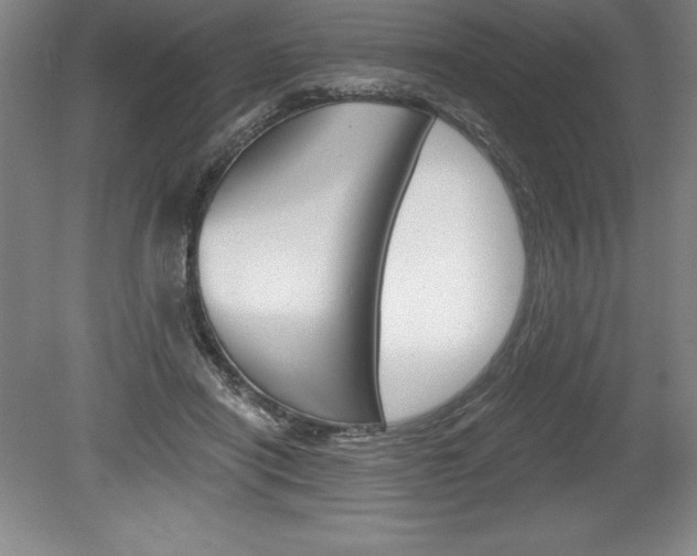 X0000078830454200611130936