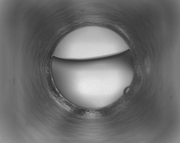 X0000078830455200611130936