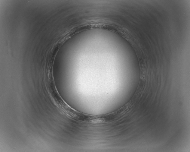 X0000078830456200611130936