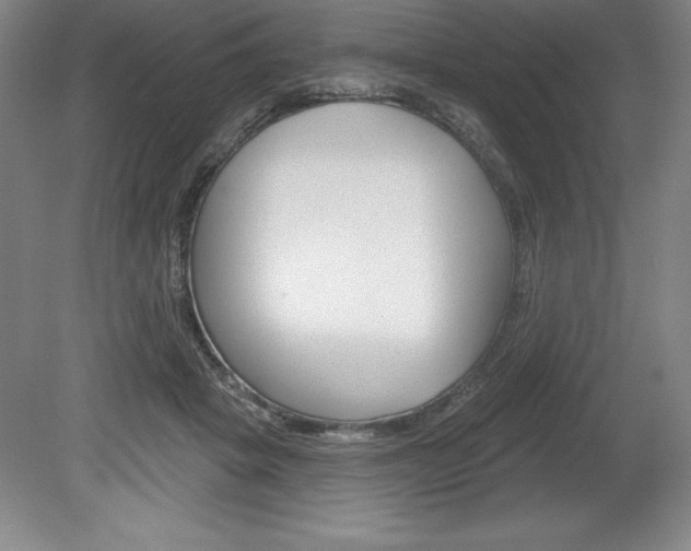 X0000078830457200611130936