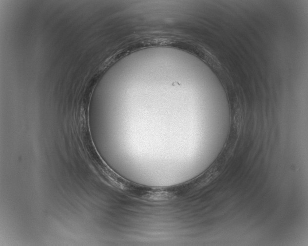 X0000078830459200611130936