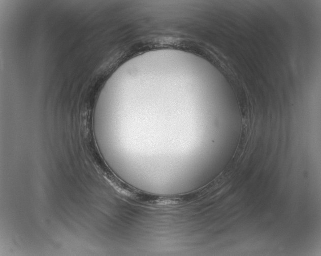 X0000078830462200611130936