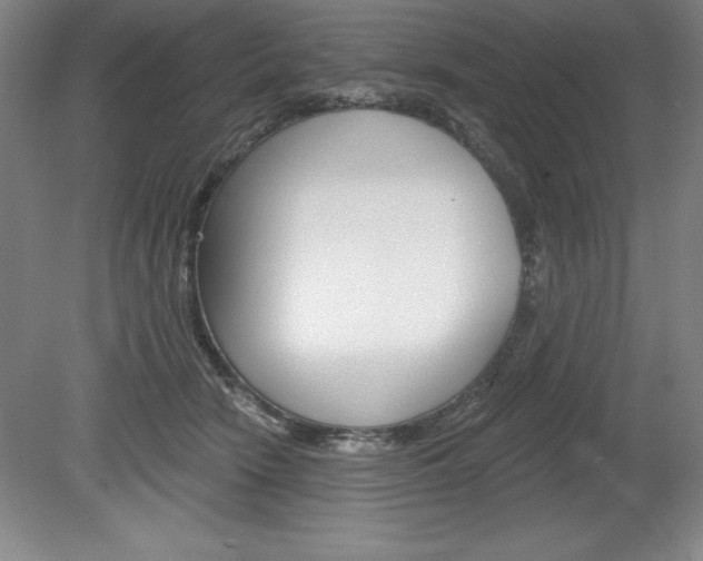 X0000078830466200611130936