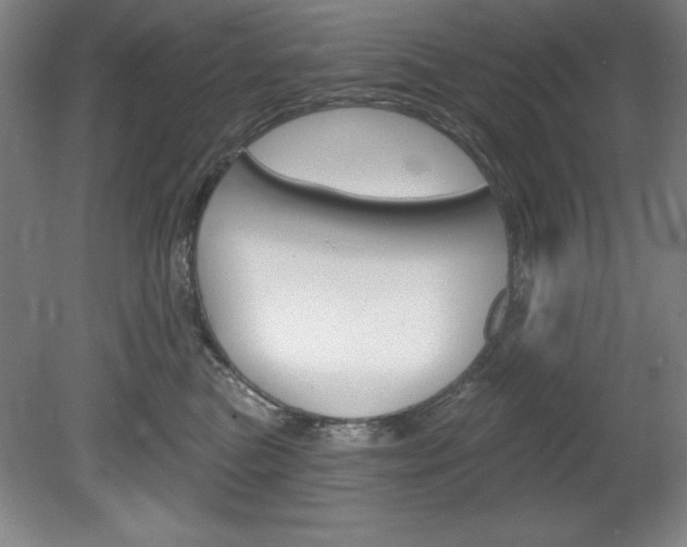 X0000078830473200611130936