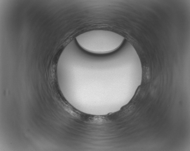 X0000078830475200611130936