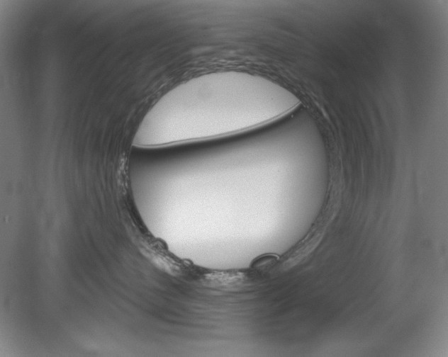 X0000078830480200611130936