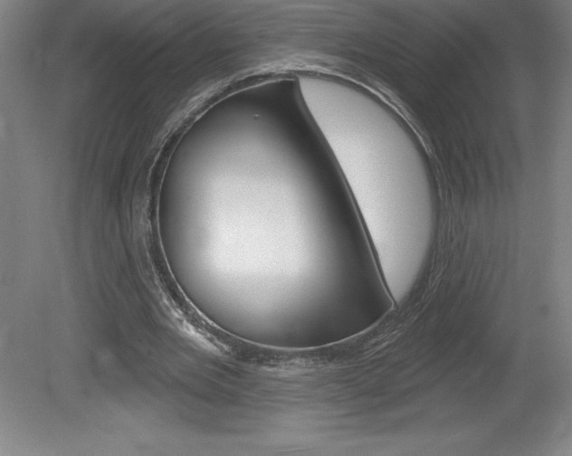 X0000078830485200611130936