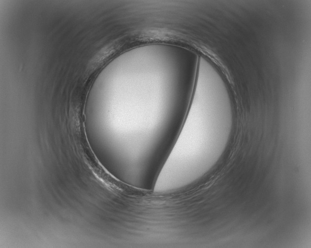 X0000078830489200611130936