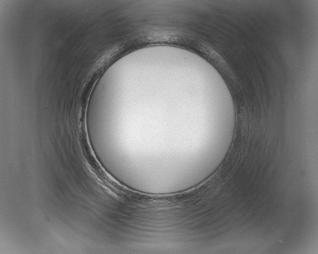 X0000078830490200611130936