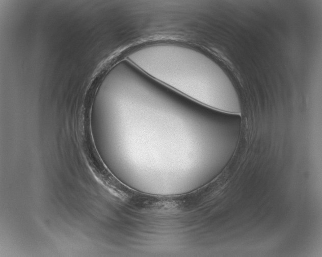 X0000078830492200611130935