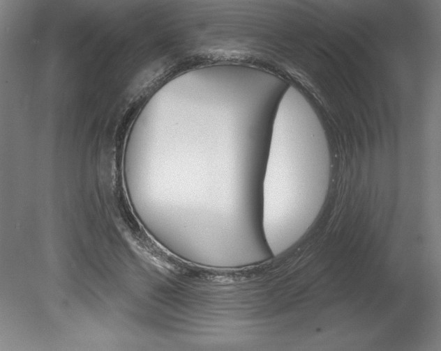 X0000078830494200611130935