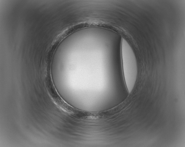 X0000078830496200611130935