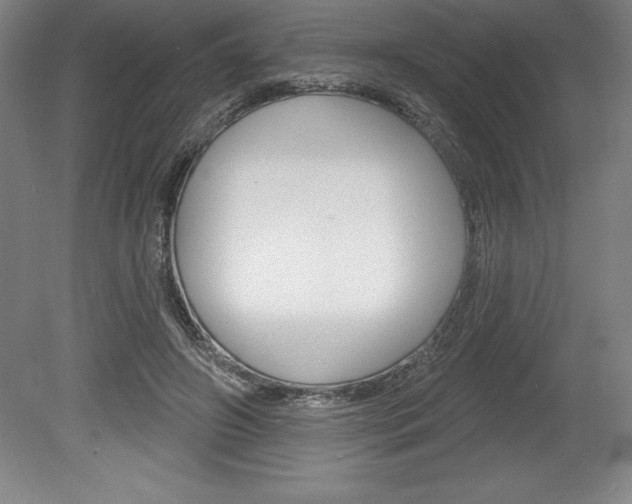 X0000078830498200611130935