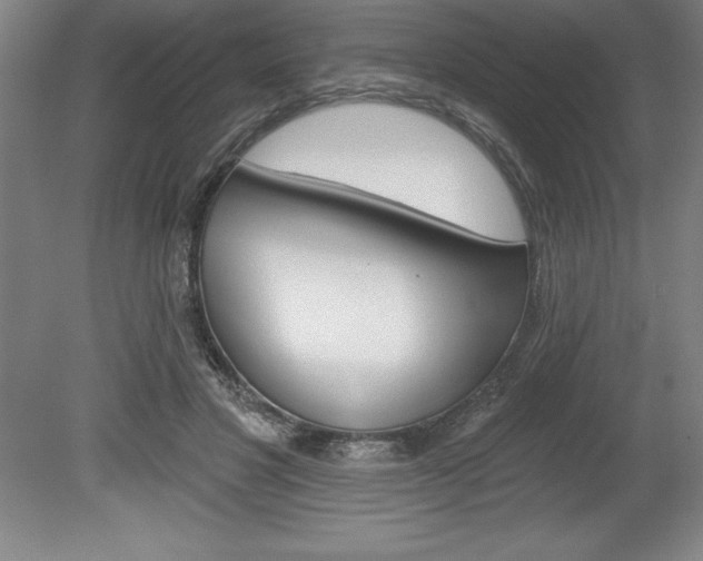 X0000078830501200611130935