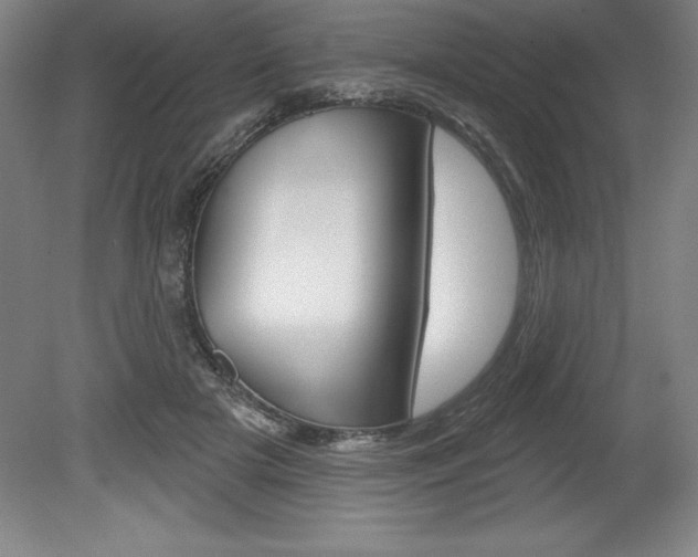 X0000078830505200611130935