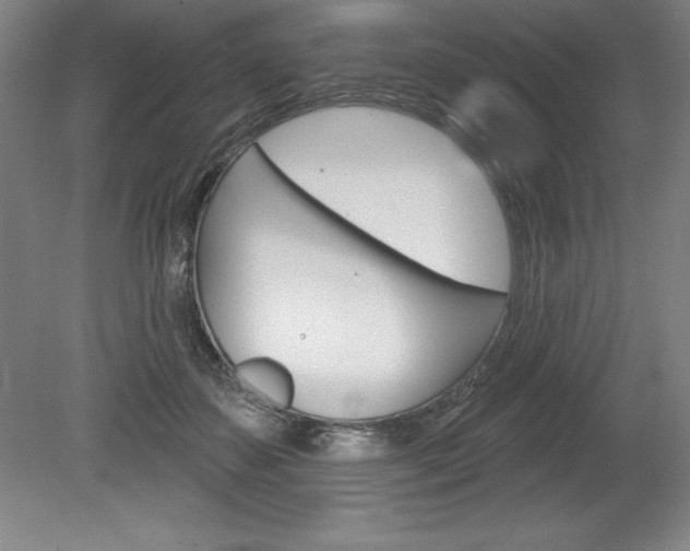 X0000078830507200611130935