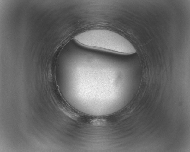 X0000078830508200611130935
