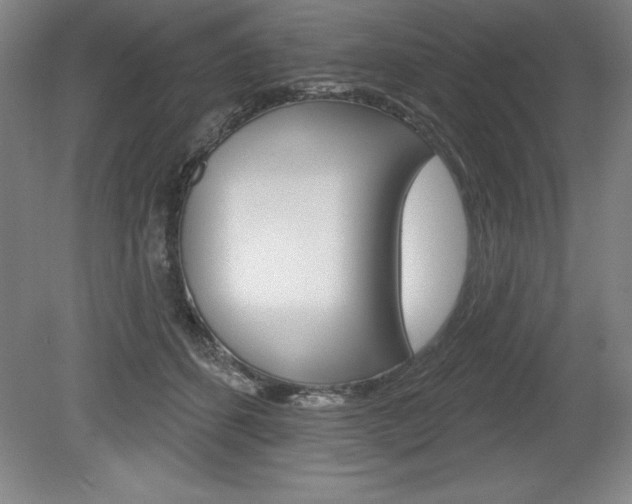 X0000078830512200611130935