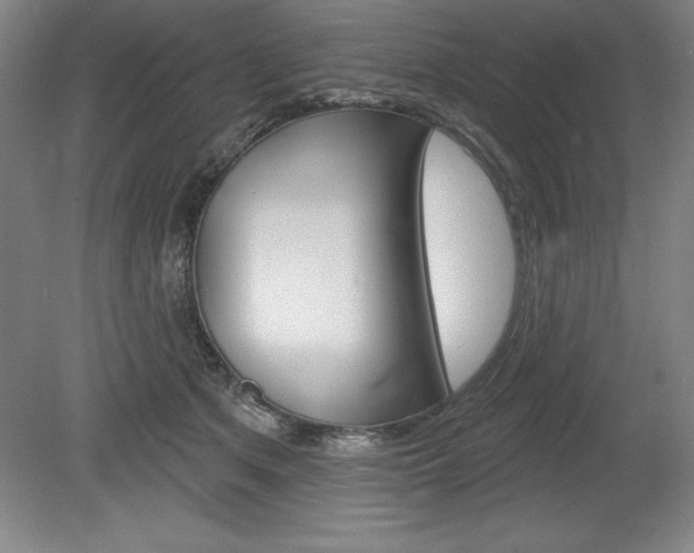 X0000078830513200611130935