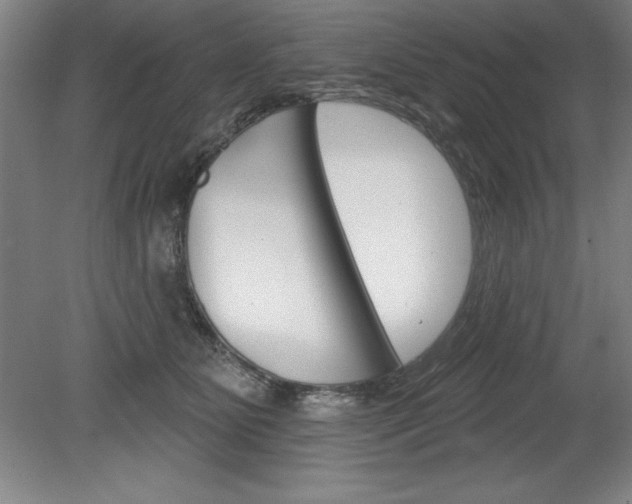 X0000078830515200611130935