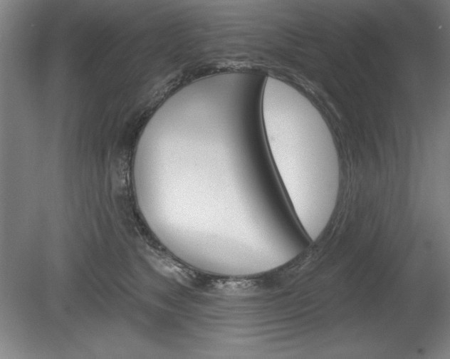 X0000078830517200611130935