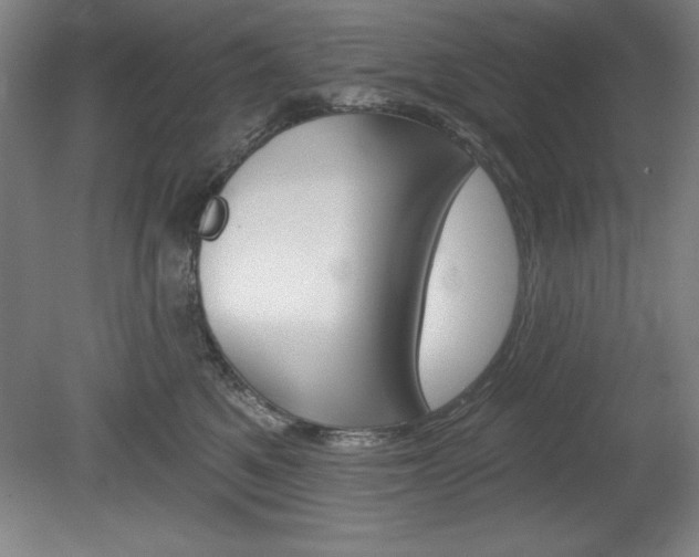X0000078830521200611130935