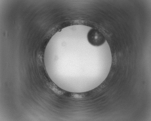 X0000078830522200611130935