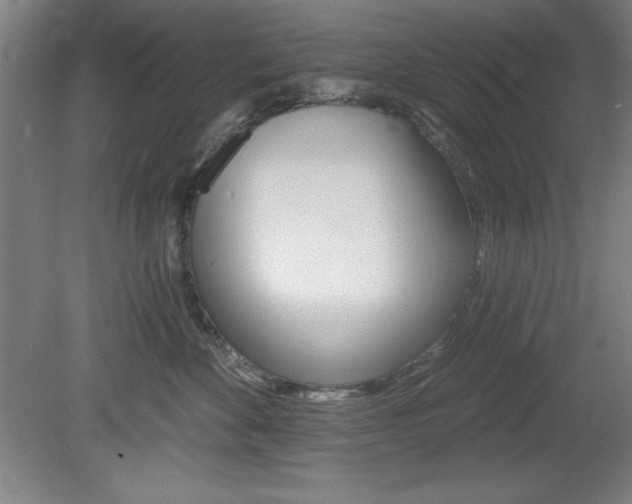 X0000078830524200611130935