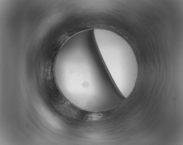 X0000078830525200611130935